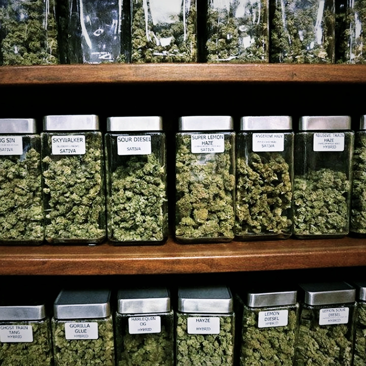 CB Exotics Instagram post